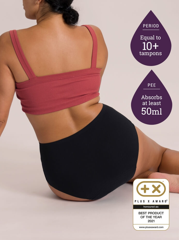 Ladies 3 Pack Stretch Full Briefs at Rs 60/piece