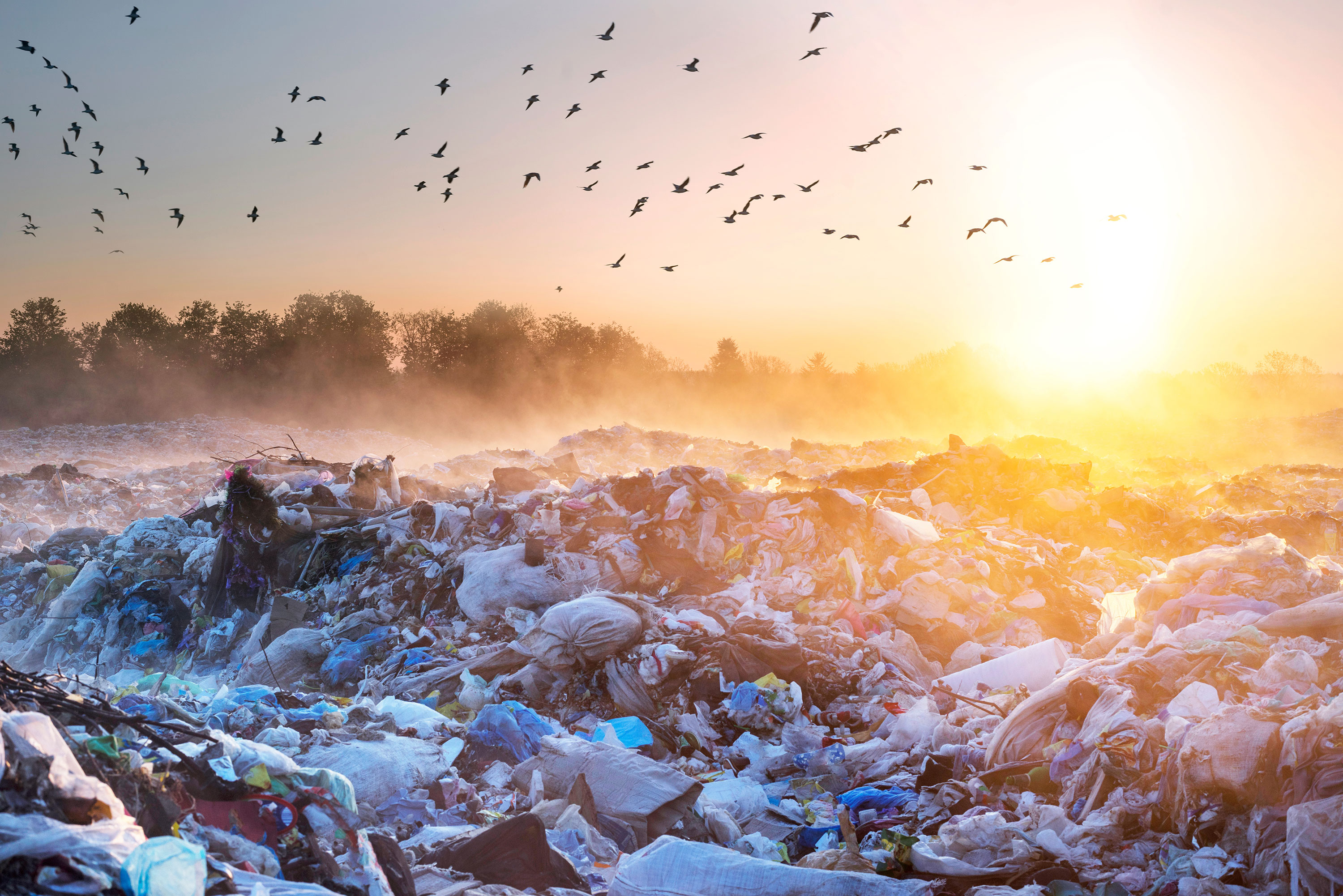 Rubbish-dump
